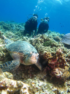 沖縄　体験ダイビング