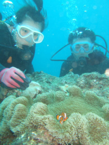 沖縄　体験ダイビング