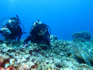 沖縄　ダイビング
