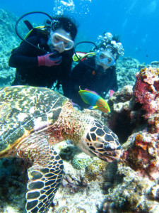 沖縄　体験ダイビング