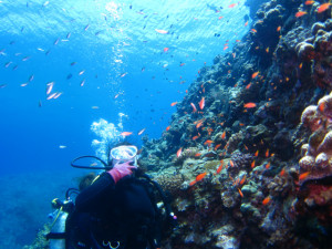 沖縄　体験ダイビング