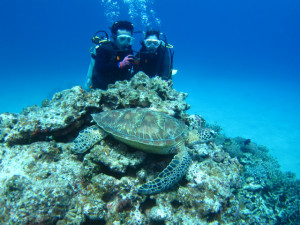 沖縄　体験ダイビング