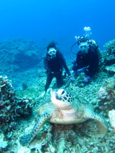 沖縄　体験ダイビング