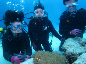 沖縄　体験ダイビング