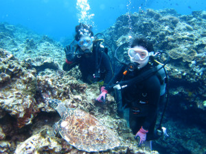沖縄　体験ダイビング