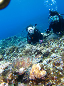 沖縄体験ダイビング