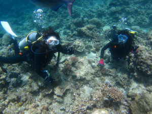 沖縄　体験ダイビング