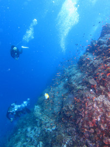 沖縄　ダイビング