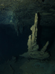 沖縄ダイビング