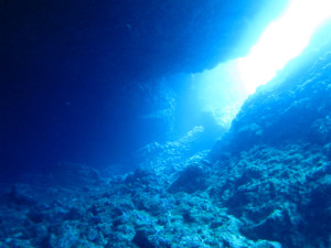沖縄　ダイビング