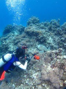 沖縄　ダイビング