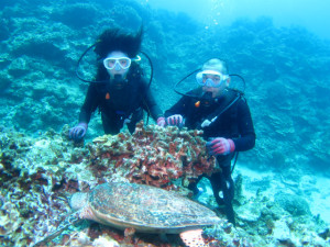 沖縄　ダイビング