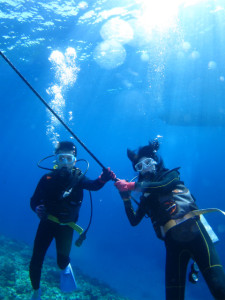 沖縄　体験ダイビング