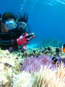 沖縄　体験ダイビング