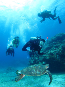 沖縄　ダイビング