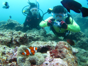 沖縄　体験ダイビング