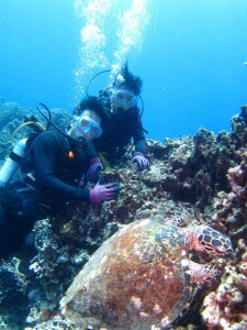 沖縄　ダイビング