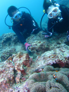 沖縄　ダイビング