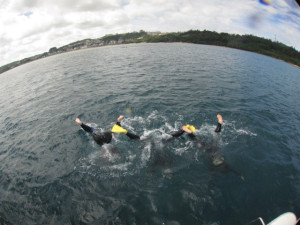 沖縄　ダイビング