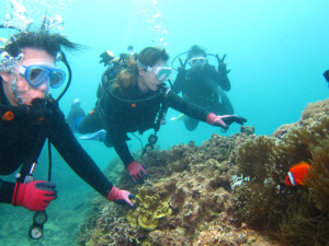 沖縄　ダイビング