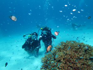 沖縄　ダイビング