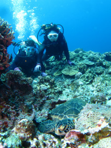 沖縄　ダイビング
