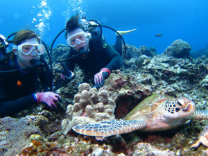 沖縄　ダイビング