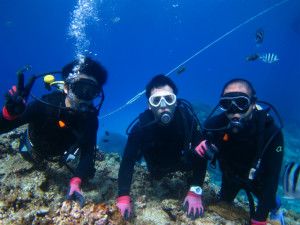 沖縄　ダイビング