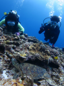 沖縄　ダイビング