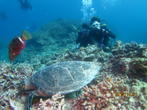 沖縄　ダイビング