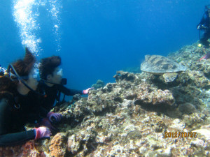 沖縄　ダイビング