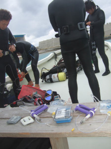 沖縄 ダイビング