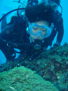 沖縄　ダイビング