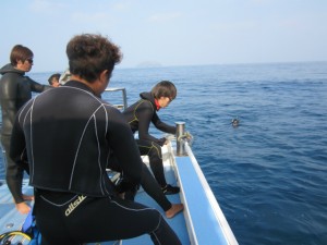 沖縄 ダイビング