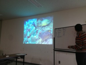 沖縄 ダイビング