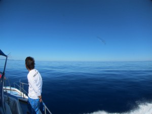 沖縄　ダイビング