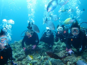 沖縄　ダイビング