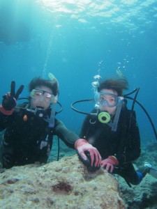 沖縄　ダイビング