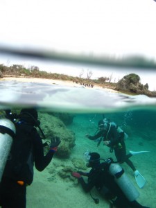 沖縄　ダイビング