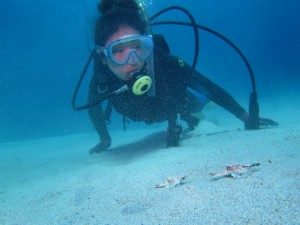 沖縄　ダイビング　ウミテング