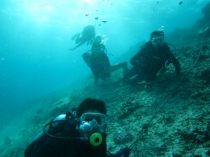 沖縄　ダイビング