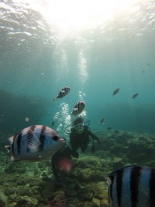 沖縄　ダイビング