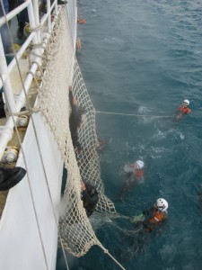 沖縄　ダイビング