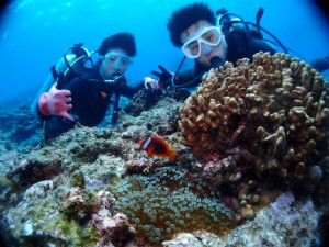 沖縄　ダイビング