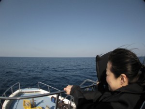 沖縄　ダイビング