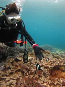 沖縄　ダイビング