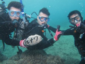 沖縄　ダイビング