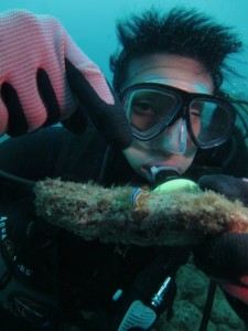 沖縄　ダイビング