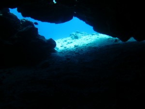 沖縄　ダイビング