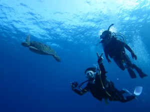 沖縄　ダイビング